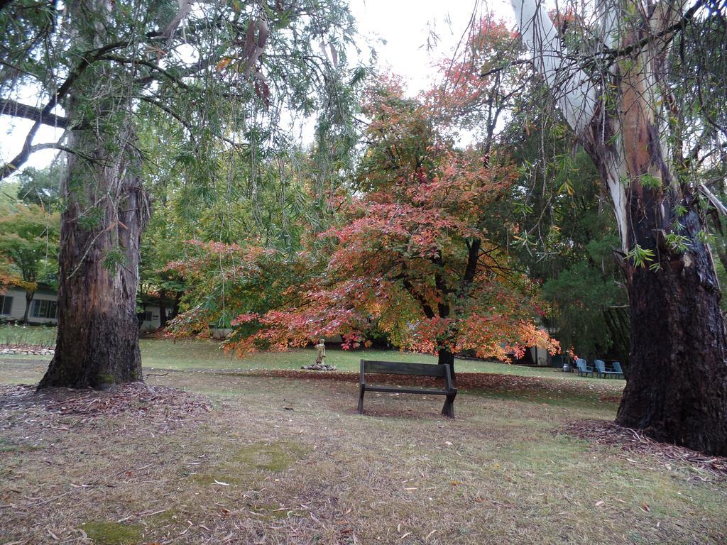 Alpine Park Riverside Cottages Porepunkah Eksteriør bilde